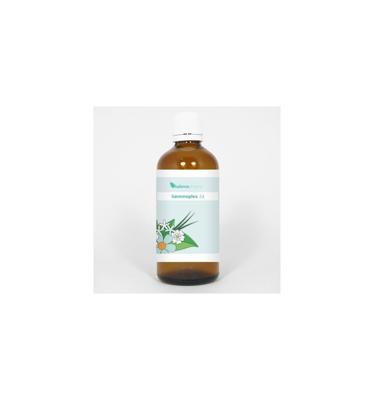 Balancepharma HGP034 Gemmoplex parasitaire lymf 100 Milliliter