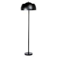 Brix Kyle 167cm-12631 - thumbnail