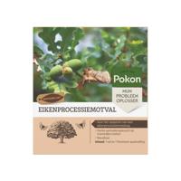 Pokon Eikenprocessiemotval - thumbnail