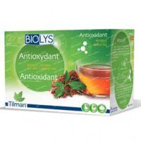 Biolys Rooibos Groene Thee Sach 24