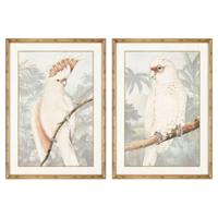 Schilderij DKD Home Decor Papegaai Tropisch 50 x 3 x 70 cm (2 Stuks) - thumbnail