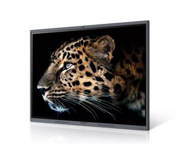 Videowall Monitor Maxhub C7530 4K Ultra HD 75"