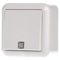 ELSO AP-toets 382110 10A verlicht CONTURA parelwit 1 stuk(s)