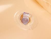 Opblaas Leeuw - thumbnail