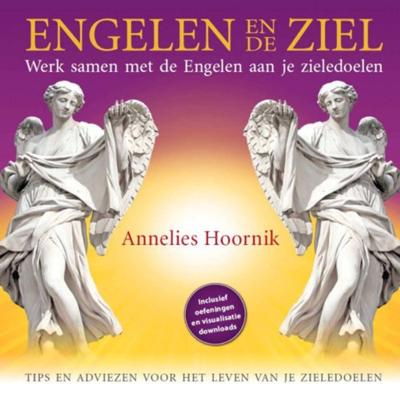 ENGELEN EN DE ZIEL - Werk samen met de Engelen aan je zieledoelen - Annelies Hoornik - Hardcover (9789079995127)