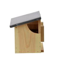 Eekhoorn voederhuis dubbel l17b6h18 - thumbnail
