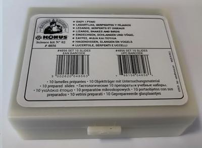Konus preparaten set hagedissen, vogels en slangen (10 stuks)
