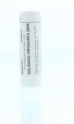 Homeoden Heel Solidago virgaurea 200K 6 Gram Homeoden Heel Solidago virgaurea 200K 6 Gram