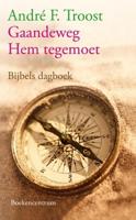 Gaandeweg Hem tegemoet - Andre Troost - eBook (9789023929086) - thumbnail