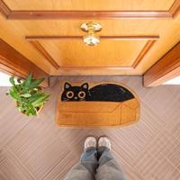 Kat in doos deurmat - thumbnail