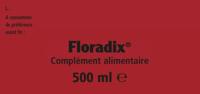 Floradix IJzer - thumbnail