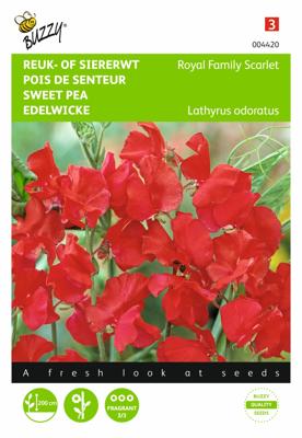 Lathyrus, Reuk- of siererwt Royal Family Scarlet