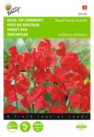 Lathyrus, Reuk- of siererwt Royal Family Scarlet - thumbnail