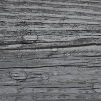 Vloerplanken zelfklevend 5,02 m 2 mm PVC glanzend grijs - thumbnail