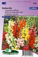 Antirrhinum Majus zaden Rainbow mix Leeuwebek - thumbnail