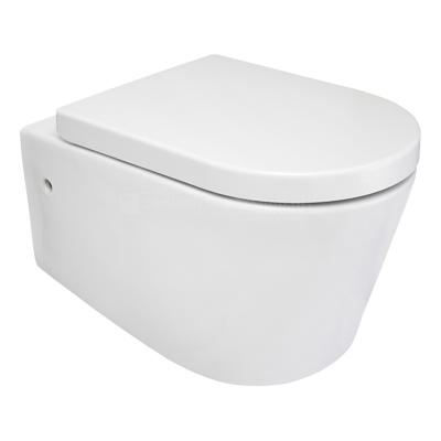 Flow wandcloset rimless met nano coating met Flow toiletzitting softclose en quick release glans wit