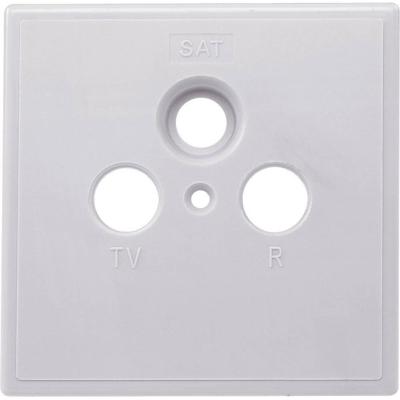 Axing SZU 2-01 Afdekplaat antennedoos TV, FM, Data