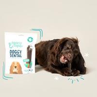 Doggy dental straw&mint m 7p Edgard & Cooper - Edgard en cooper - thumbnail