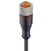 Lumberg Automation 11356-1 Sensor/actuator connector, geassembleerd M12 Aantal polen (sensoren): 4 Bus, recht 5.00 m 1 stuk(s) - thumbnail