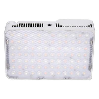 amaran Ace 25c White