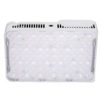 amaran Ace 25c White - thumbnail