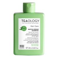 Teaology Matcha shampoo repair 250 Milliliter - thumbnail