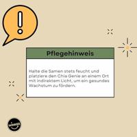 Einstein bloempot met zaadjes - thumbnail