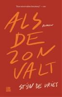 ALS DE ZON VALT - Stijn de Vries - ebook - thumbnail