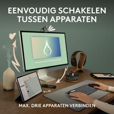 Logitech 910-007013 muis Reizen Ambidextrous RF-draadloos + Bluetooth Optisch 4000 DPI - thumbnail
