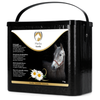 Excellent Herbs Kamille met 90% bloemen - thumbnail