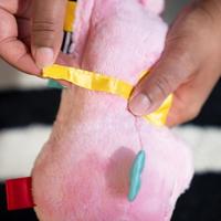 Babyspeeltje Sea Dreams Seahorse - thumbnail