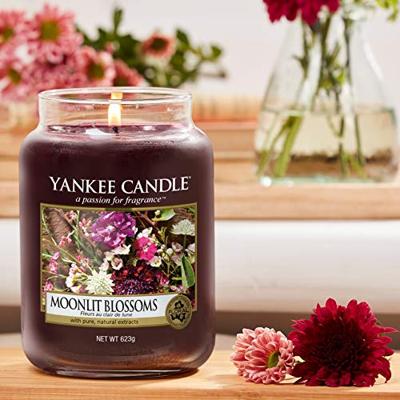 Yankee Candle 1610856E kaars Rond Roze 1 stuk(s)