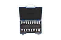 Gedore Dopsleutelset Torx 1/2" 17-dlg - 6129520 - thumbnail
