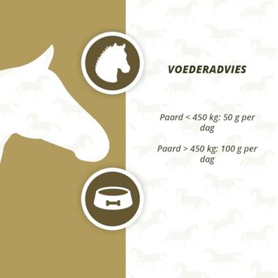 Excellent Horse Prebiotics 2,5 kg