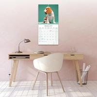 Cavalier King Charles Spaniel Kalender 2026 - thumbnail
