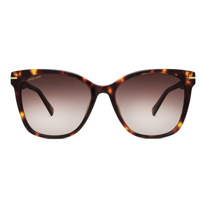 Polar zonnebril Gold 105 dames cat. 4 wayfarer donkerbruin Polar zonnebril Gold 105 dames cat. 4 wayfarer donkerbruin