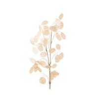 Decoratietak Parel 76cm - thumbnail