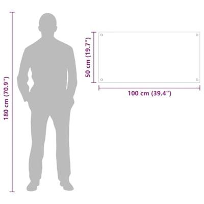 VidaXL Keuken achterwand zwart 100 x 50 cm gehard glas