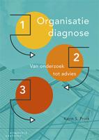 Organisatiediagnose (Paperback) - thumbnail
