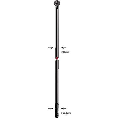 Alpina spaak spoke sst 2x174 mm b