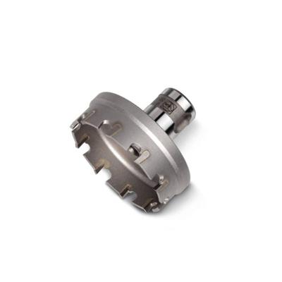 Fein 63131043010 Gatenzaag 43 mm 1 stuk(s)