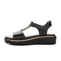 Ara 1233515 - alle - thumbnail