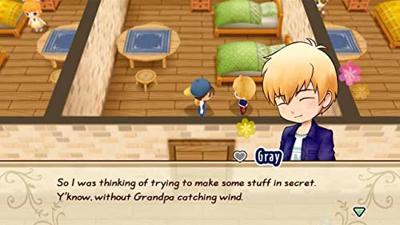 Story of Seasons Friends of Mineral Town