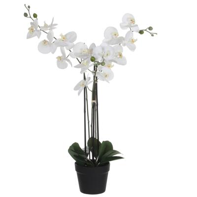 Kunstplant Mica Phalaenopsis orchideeën wit in plastic pot 79x51cm | 2 stuks Kunstplant Mica Phalaenopsis orchideeën wit in plastic pot 79x51cm | 2 stuks