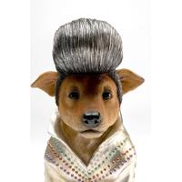 Kare Design Spaarpot hond rock - thumbnail