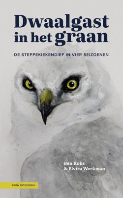 Dwaalgast in het graan - Ben Koks, Elvira Werkman - ebook