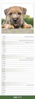 Border Terrier Kalender 2026 Slimline - thumbnail