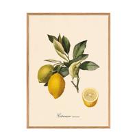 The Dybdahl Co poster Citronier (40x30 cm) - thumbnail