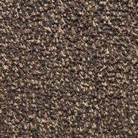 droogloopmat Aquastop brown 60x100 - thumbnail