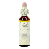 Bach Flower Remedie 28 Scleranthus 20ml - thumbnail